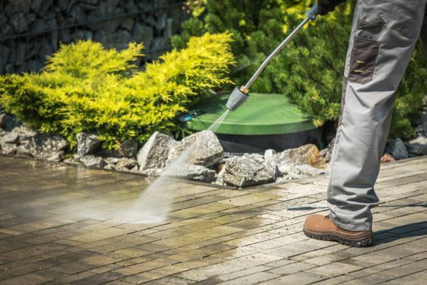 Best Winterizing Services  in Rehoboth Beach, DE